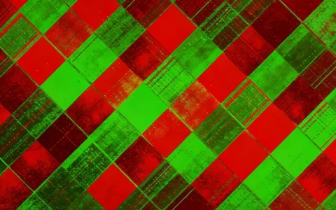 南阳呼吸道病毒Panel基因检测机构指南：正规名单与选择建议（附费用参考）