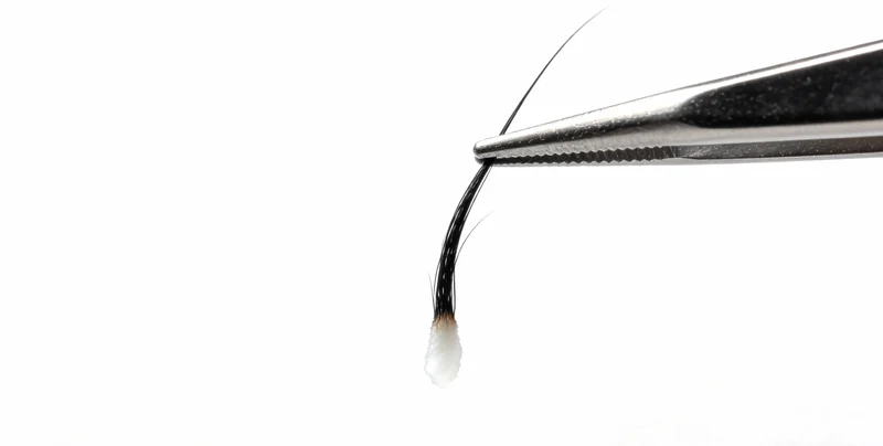 冬季呼吸道疾病高发季节的个人防