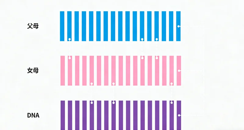 阿坝州高原环境与老年人,示意呼