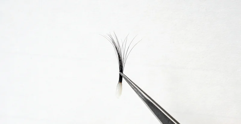 林业工作者正确穿戴防护装备示意