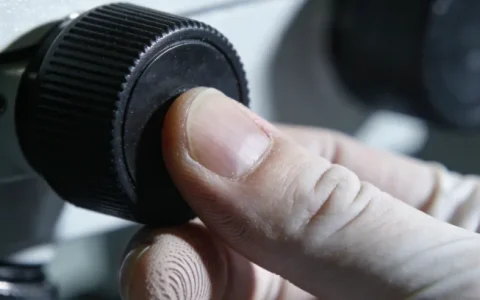 金华支原体基因检测公司怎么选？全新挑选指南与避坑建议