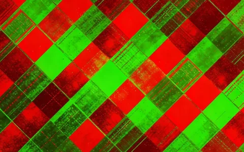 烟台宏基因组测序基因检测检测哪家靠谱？最新正规机构名单与避坑要点