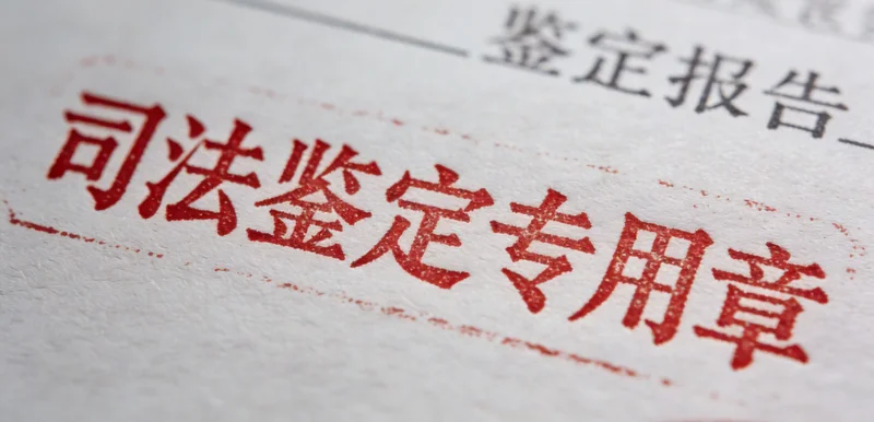 富含膳食纤维的健康食材