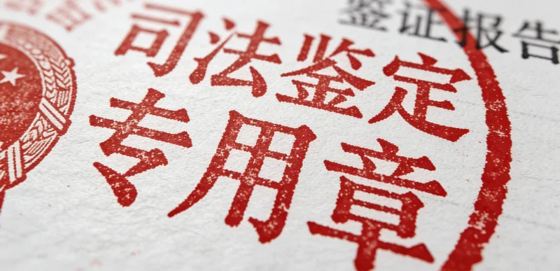 象征增强免疫力与防护的概念图,