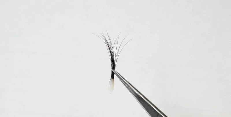 人体大脑结构示意图