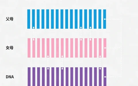 甘孜州HPV分型基因检测附近哪里能做