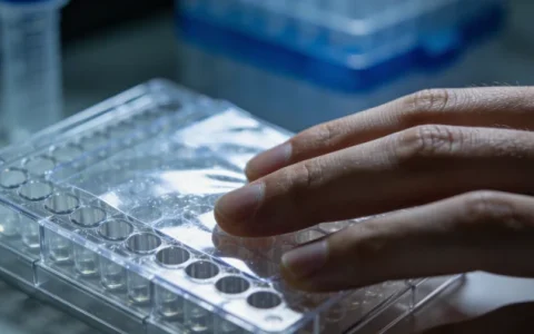 银川性传播感染基因检测正规机构有哪些？