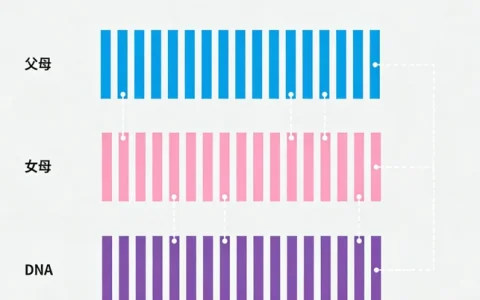 黄山CMV基因检测正规机构有哪些？