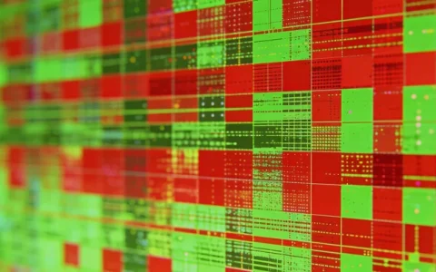 荆门PCR病原基因检测哪家最准