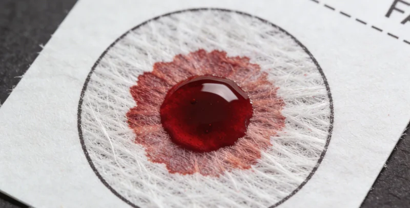 几位贵阳女性在公园里边散步边愉