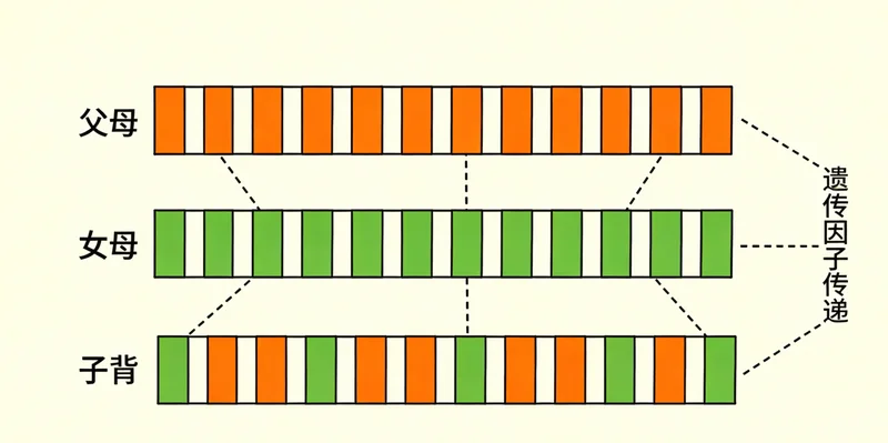 龙岩儿童在医院就诊检查支原体感