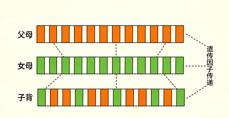 保山地区鼻咽癌发病率分布图