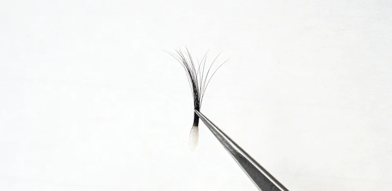 本地专业人员在办公室为家庭成员