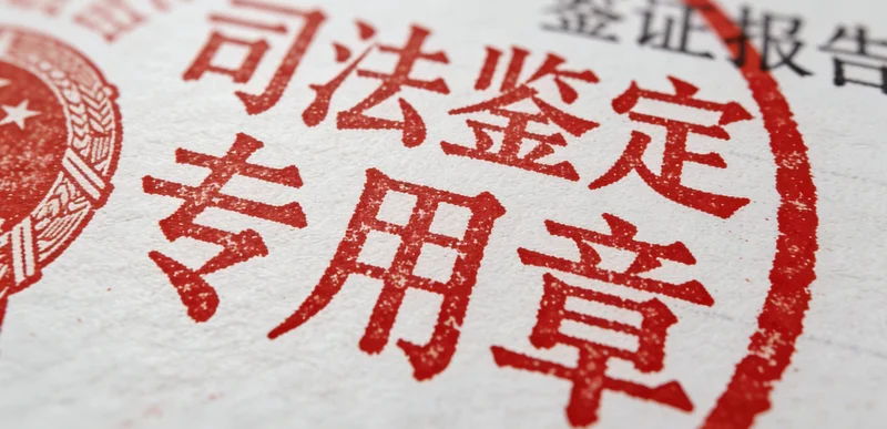 带有权威机构公章的亲子鉴定报告