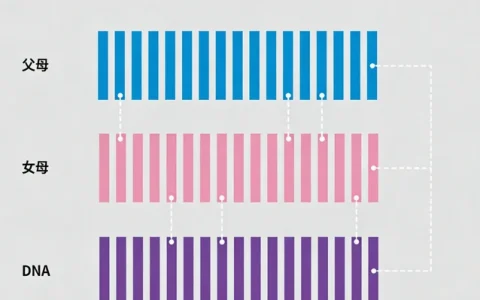 茂名鼻咽癌基因检测受理中心