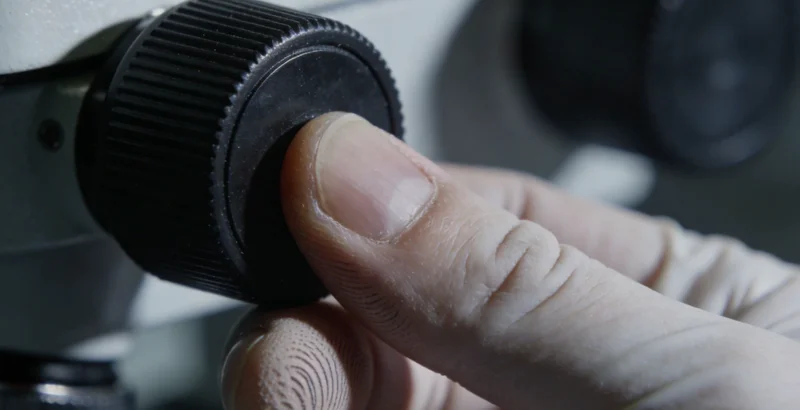 医生正在与咨询者沟通,共同查看