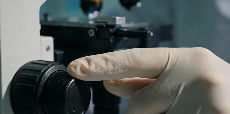 展示HPV病毒不同型别的微观结