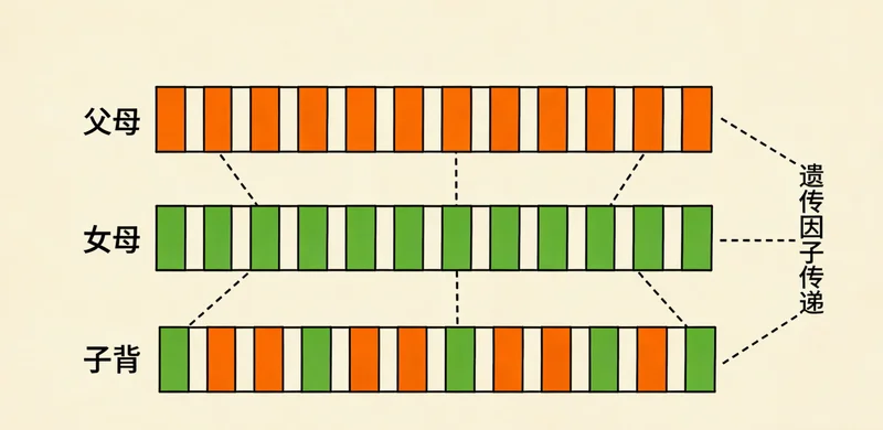 毕节女性在医院进行健康咨询的场景