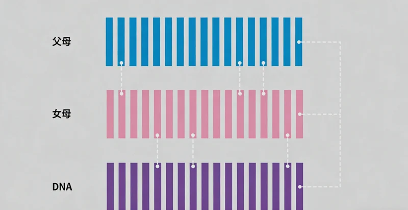 患者家属与医疗咨询人员沟通的温