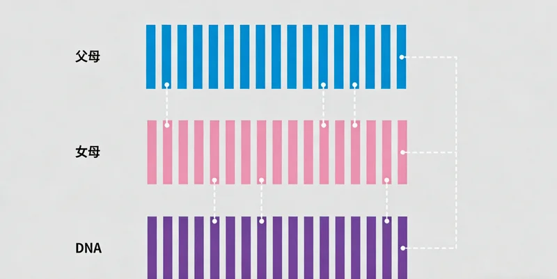 呼伦贝尔地区医院急诊室忙碌场景