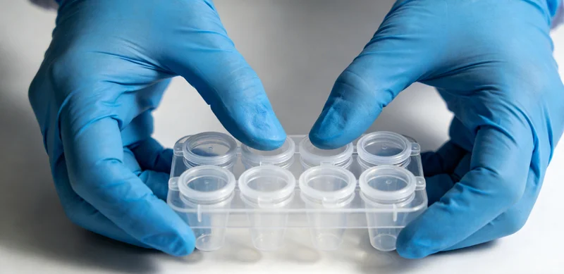 实验室技术人员正在生物安全柜内