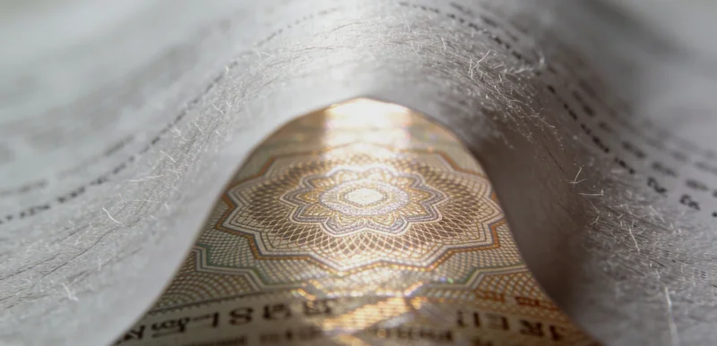 在贺州山林中工作的劳动者,示意