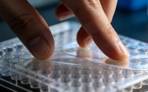 鄂州肺癌基因检测机构全新4家名录及2026年地址汇总