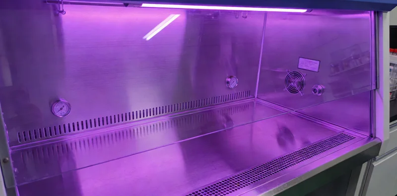 医生正在进行支气管镜检查获取肺