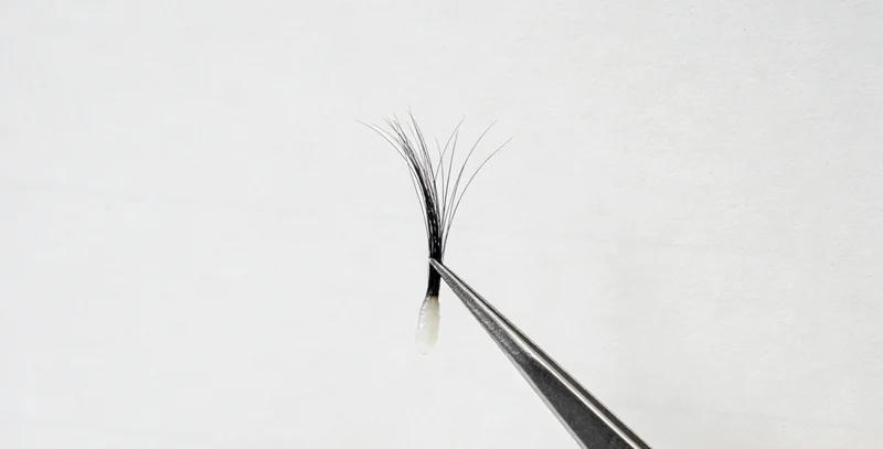 不同感染类型患者示意图