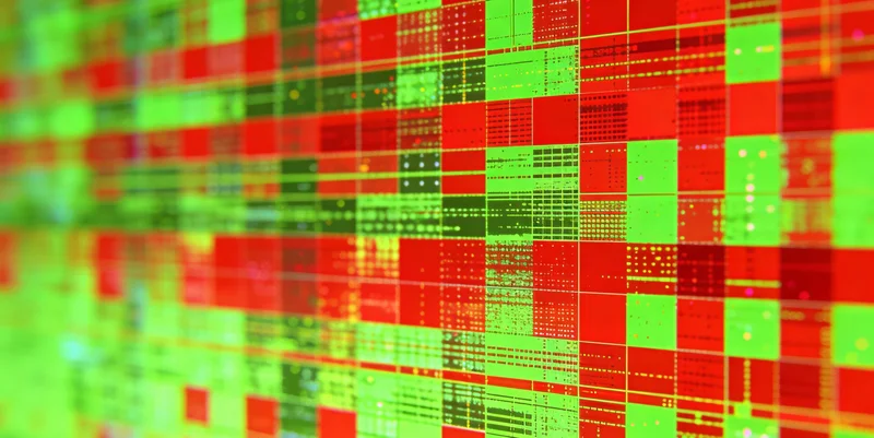 朔州传统腌制食品展示