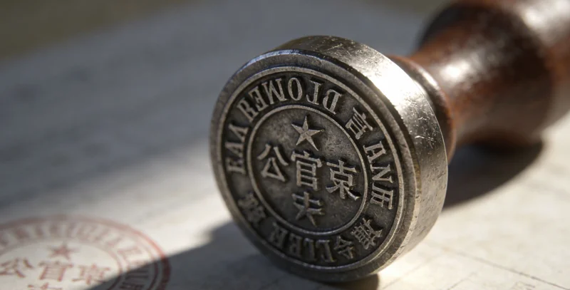 医生在查看脑胶质瘤患者的核磁共振影像