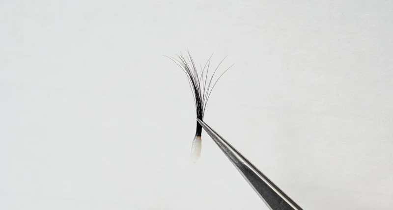 丹东城市医疗资源概况