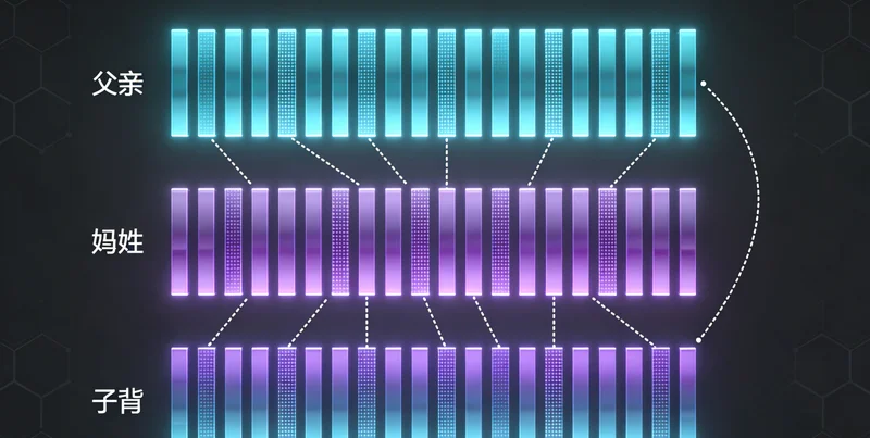 不同职业和年龄的人群,突出结核