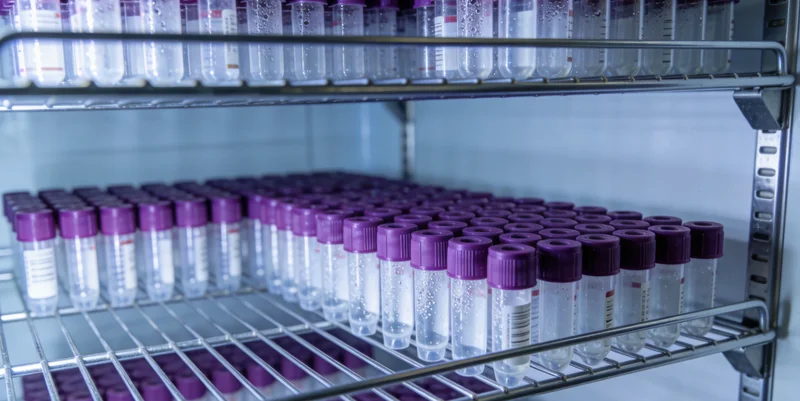 怀化城市街景，展现本地生活氛围