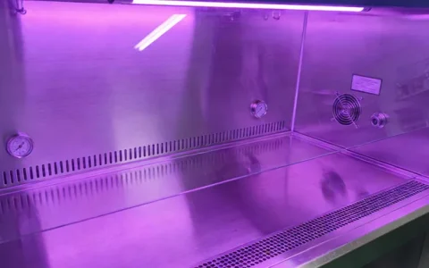 酒泉肺癌基因检测攻略2家可靠机构与2026年信息归纳