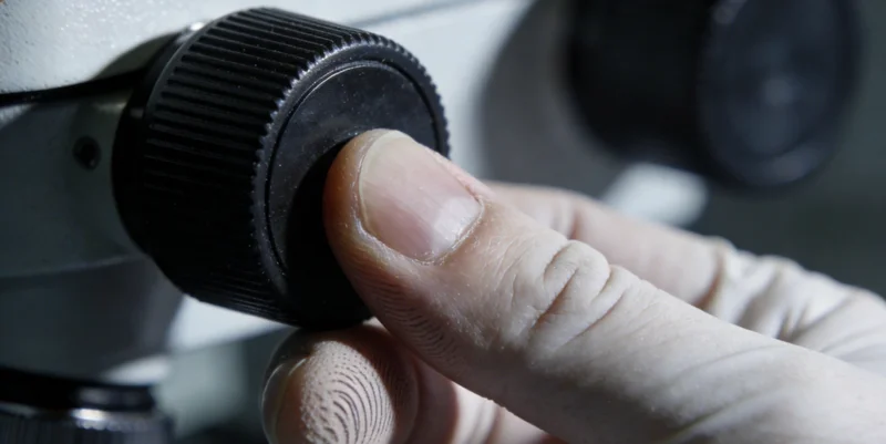 巨细胞病毒(CMV)三维结构模