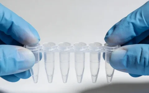 唐山子宫内膜癌基因检测可靠机构名录推荐8家(2026年参考)