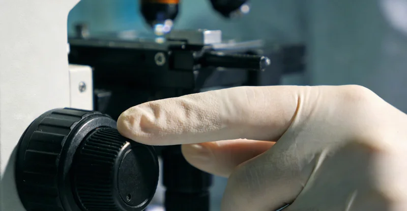 一份清晰专业的基因检测分析报告