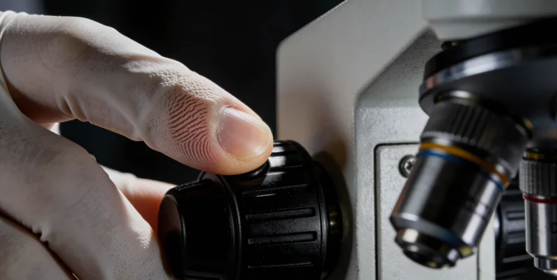 宿迁市民在公园绿道散步,体现对健康生活的关注