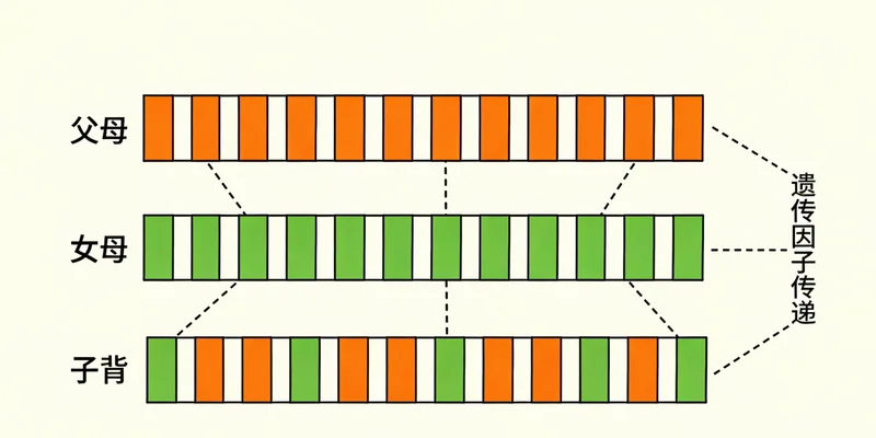 茂名渔民在渔船上作业,环境潮湿