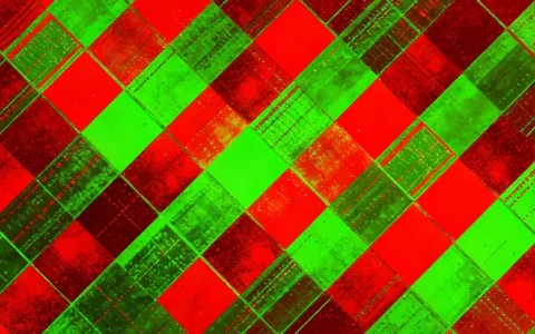 随州病毒性脑炎基因检测本地人推荐哪家？