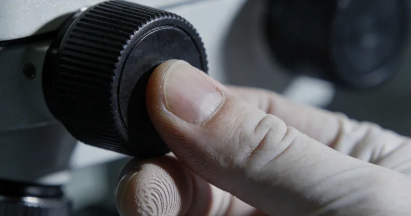 清晰的基因检测报告图表与专业人