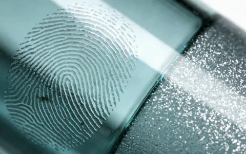 肇庆真菌基因检测机构