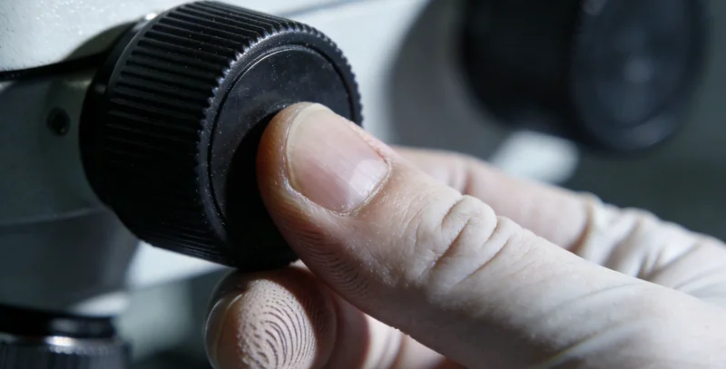 EB病毒颗粒的彩色电子显微镜示