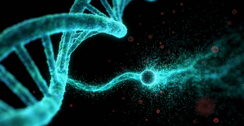 内江家庭迎接健康新生儿