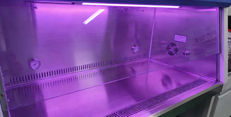 辽源城市街景,象征本地女性健康