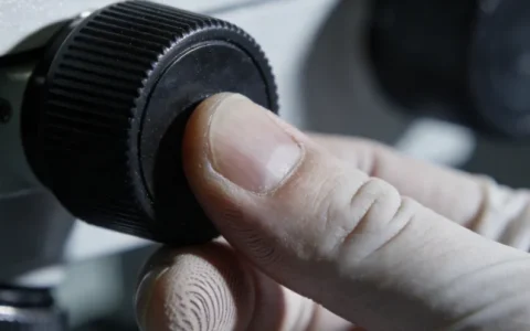 资阳mNGS送检要求基因检测公司最新名单Top10（附费用、流程）