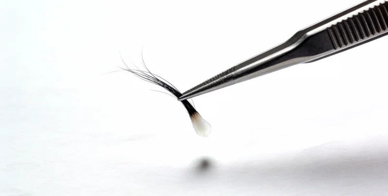 象征家庭健康与防护的图片，如双