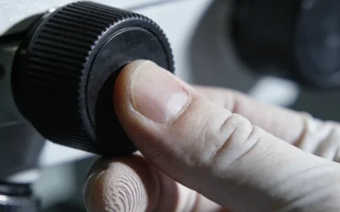 天水CMV基因检测哪个公司最好