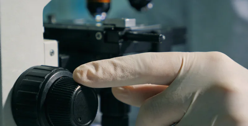 HSV病毒颗粒与DNA双螺旋结